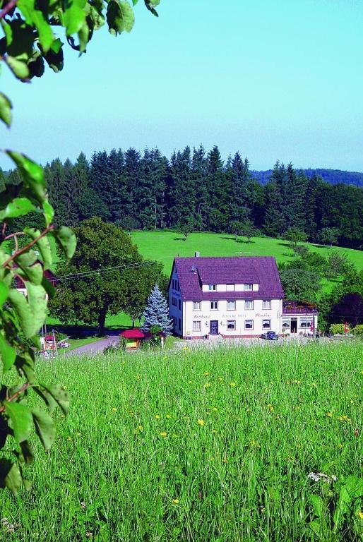 Gasthaus Und Pension Hintere Hofe Freiamt Exteriér fotografie